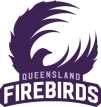 fire-birds-107.png